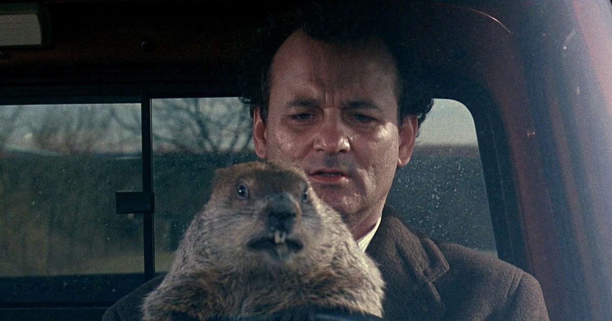 Escena del Perdido en el tiempo donde una marmota conduce un coche. Detrás de ella está Bill Murray.