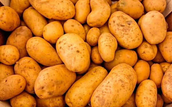 Un montón de patatas crudas juntas