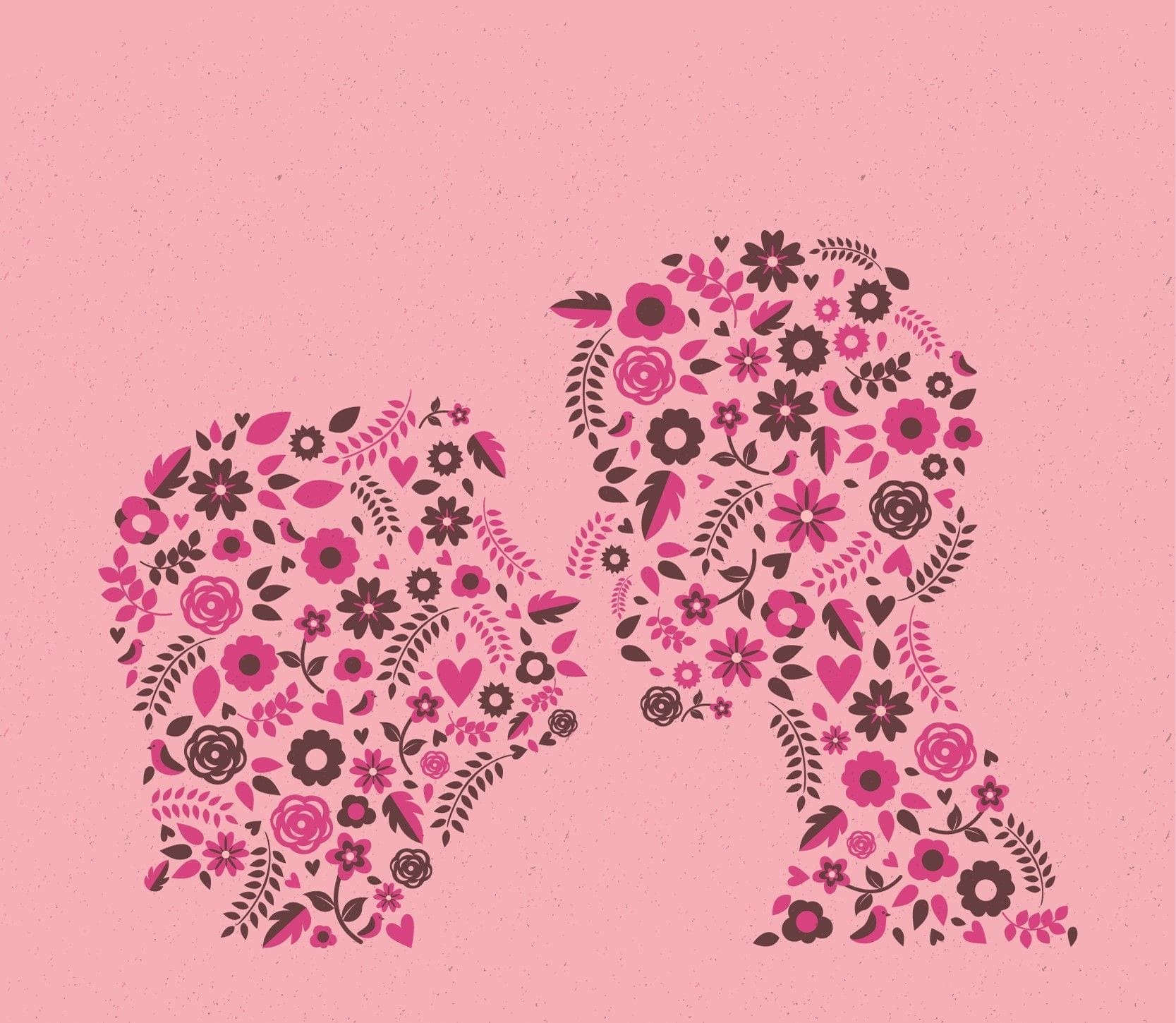 Un dibujo de dos siluetas de cabezas humanas hechas con florecitas de tonos rosados.