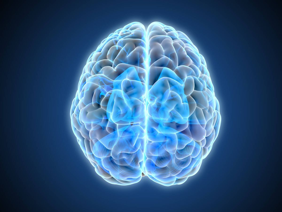 Un cerebro azul brillante visto desde arriba hecho con ordenador