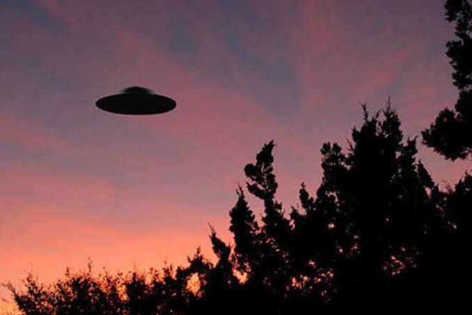 Un OVNI en el cielo durante un atardecer en un bosque.