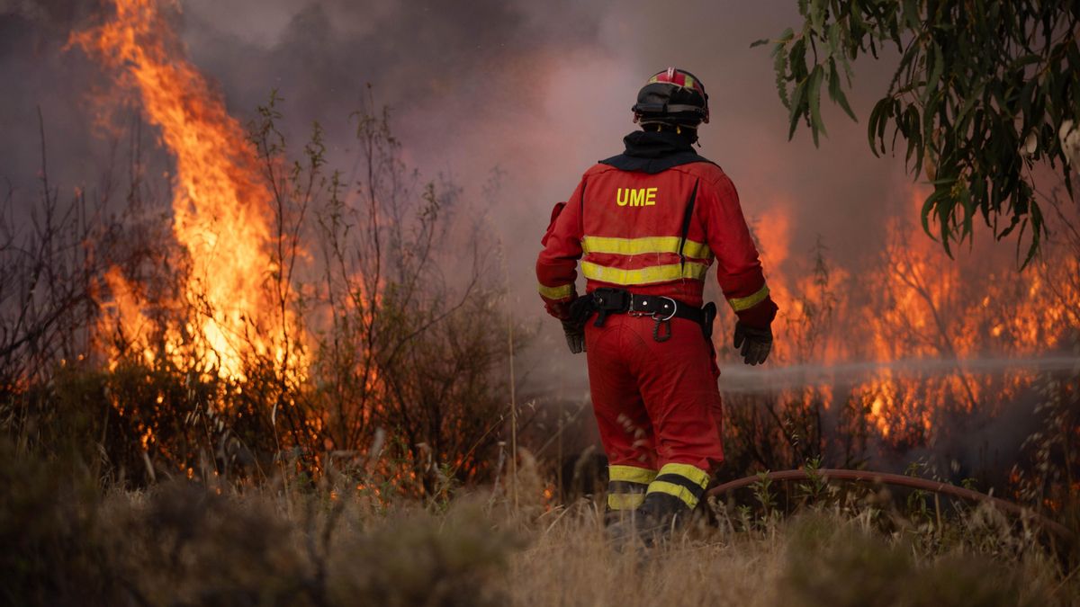 Un bombero en medio de un incendio forestal